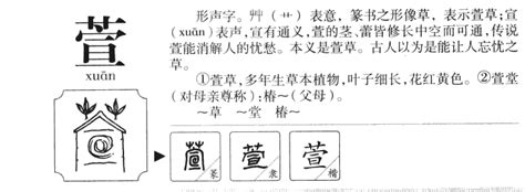 萱的名字|萱字取名的寓意